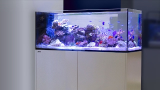 Red Sea Red Sea Reefer Xxl 750 V3 Aquarium Non Equipe Red Sea Red Sea Reefer Xxl 750 V3 Aquarium Non Equipe