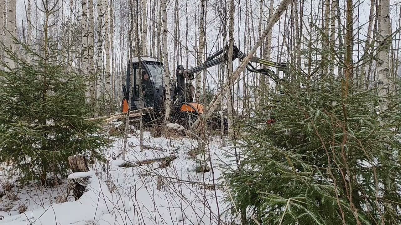 Harvennus hommaa usewoodilla