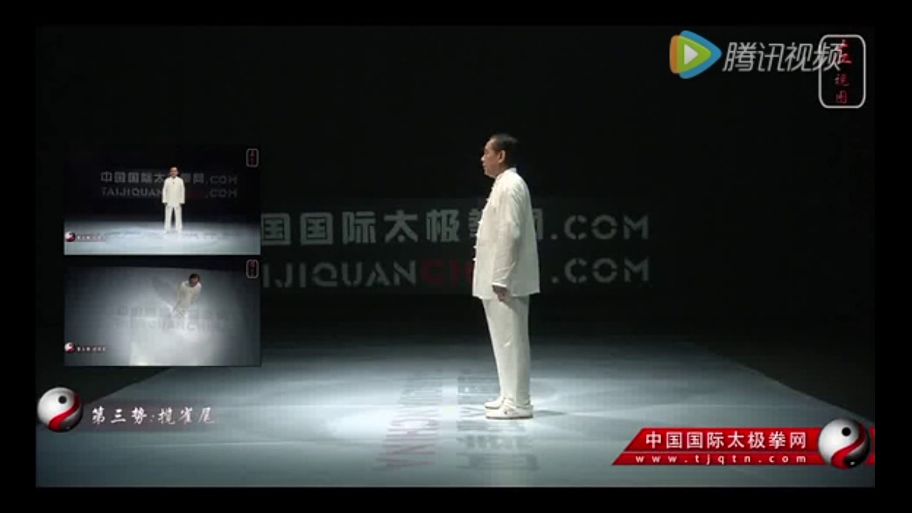 赵幼斌大师杨氏太极拳85式多视角教学