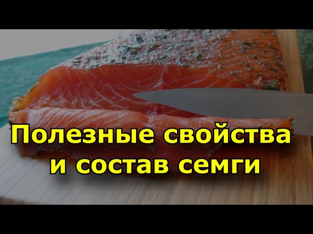 Полезные свойства и состав семги?