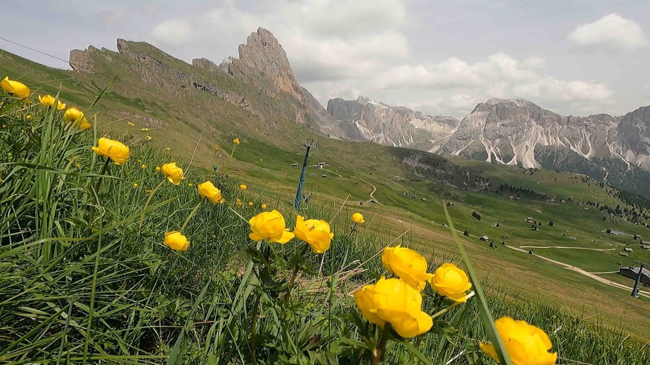 Val Gardena   Seceda
