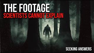 Bigfoot: The Evidence That Scientists Still Cannot Explain Bigfoot Sightings Evidence Explained