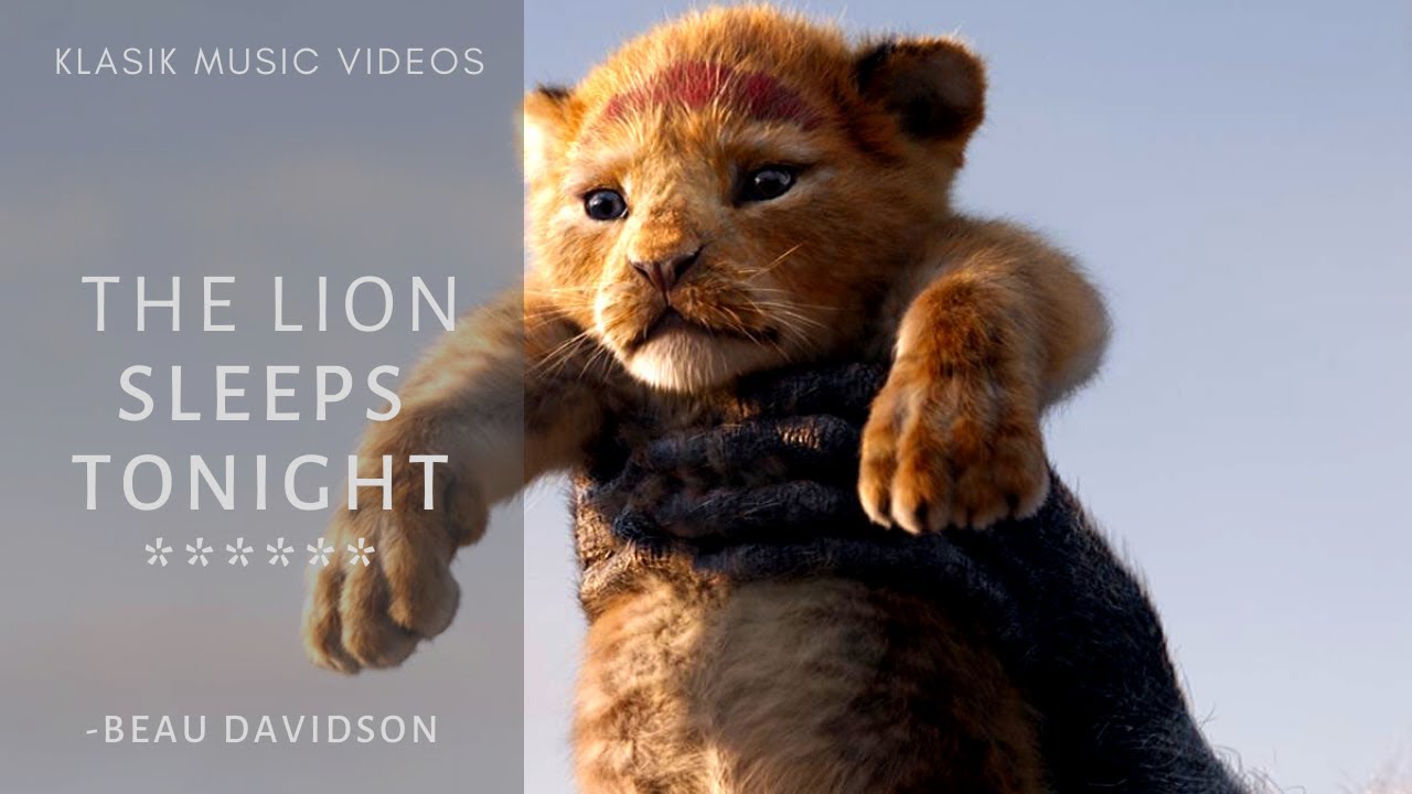 Beau Davidson - The Lion Sleeps Tonight