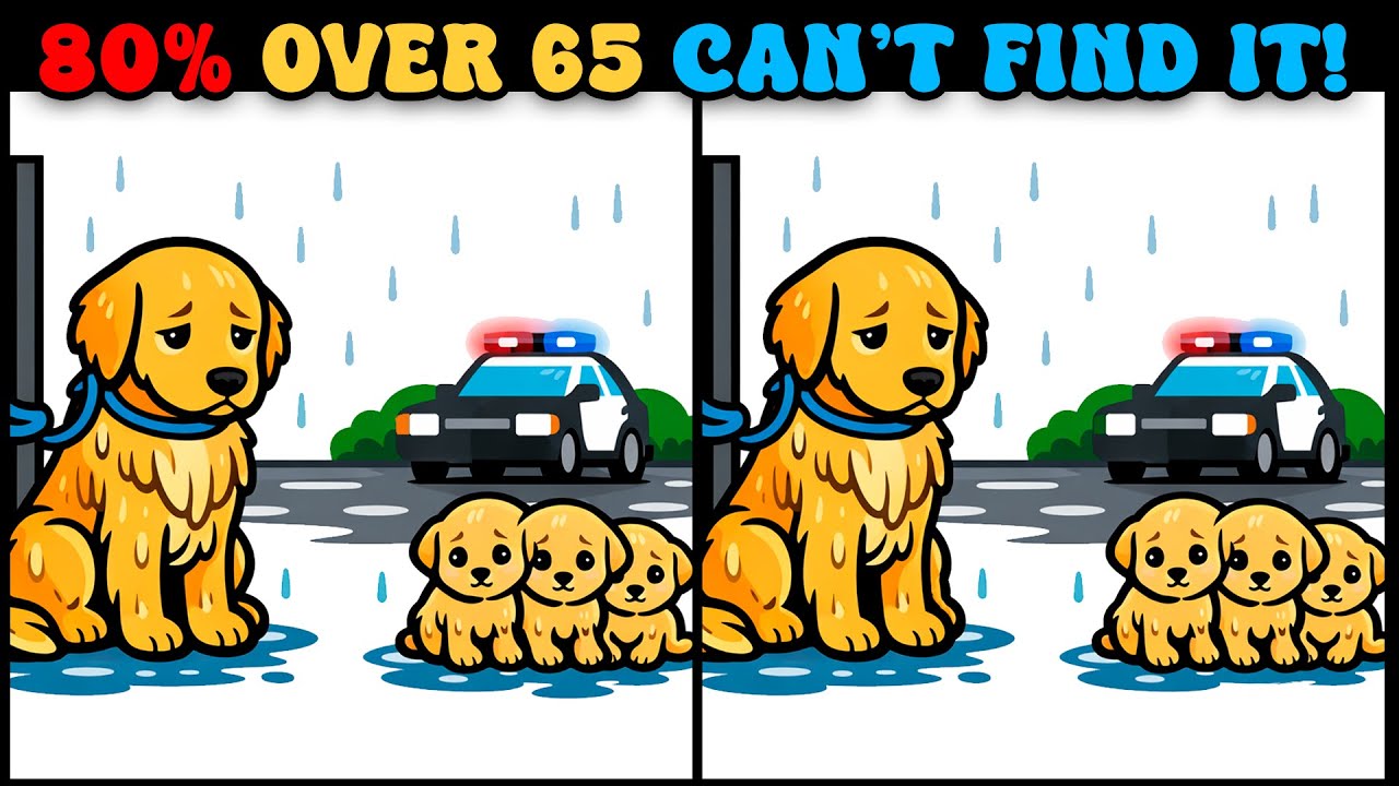 Мать и её щенки нуждаются в помощи… Найдите отличия 