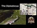 DDG&amp;TG 39 Diplodocus