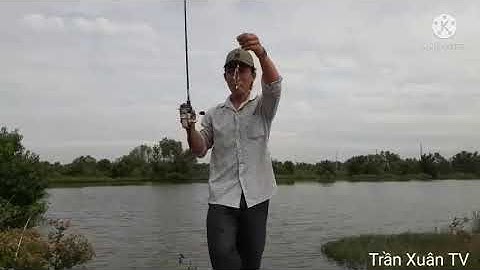 Câu Cá Bống Đục Đầm Dịch Vụ 100k