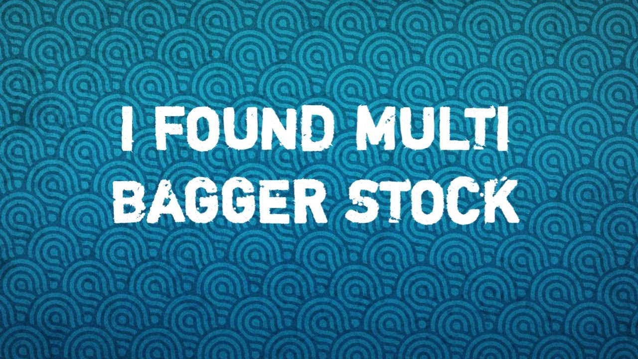 multi Bagger Stock FOUND 
