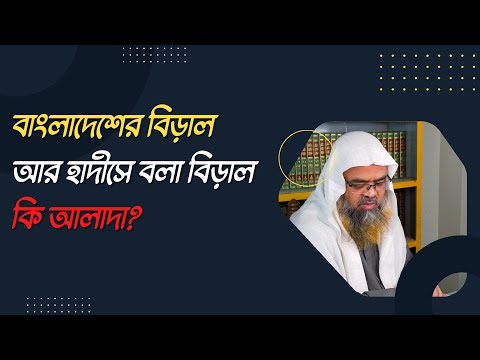 প্রশ্ন : বাংলাদেশের বিড়াল আর হাদীসে বলা বিড়াল কি আলাদা?