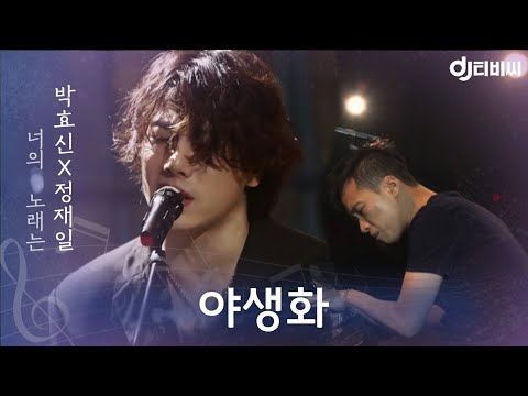 DJ티비씨 박효신 정재일 야생화 너의노래는 DJ티비씨