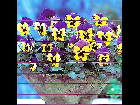 NDOA JOSEPH KAZIZI FT BABU ELLY 