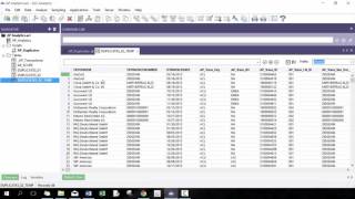 Custom ACL Analytics Workshop - Invoice Duplicates (SSSS Technique)