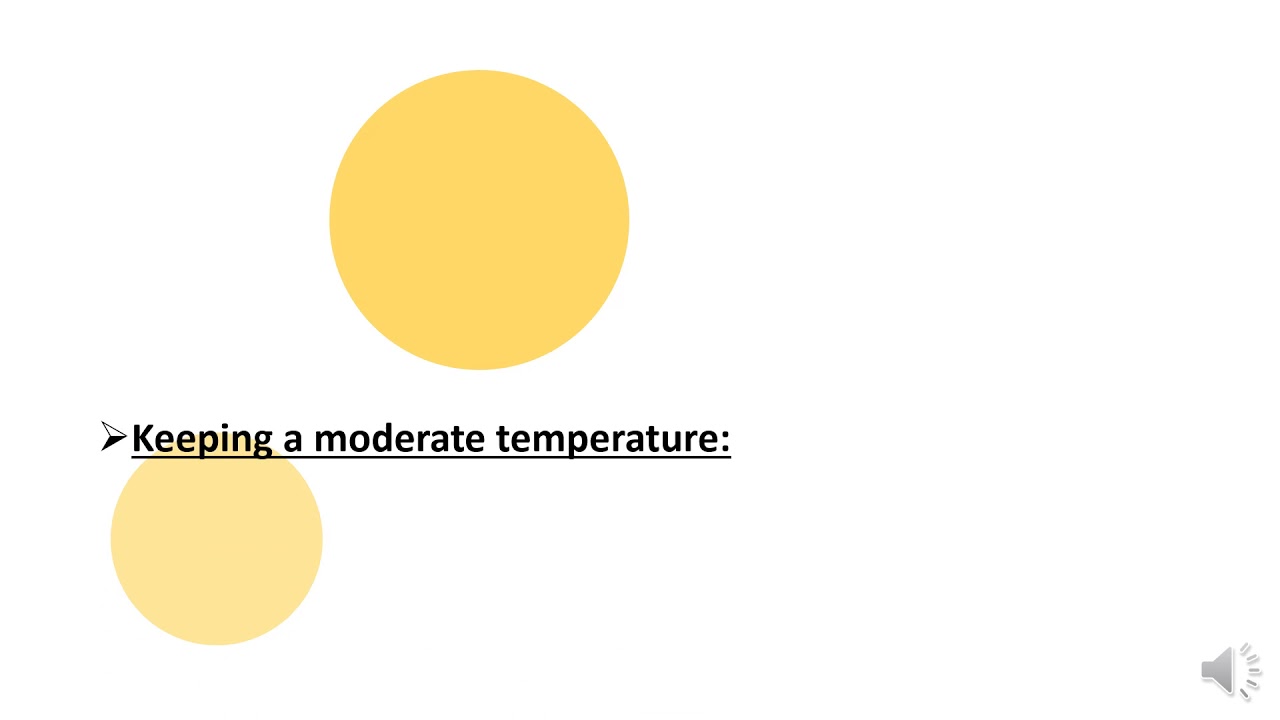 unit 8 Specific Heat Capacity - YouTube