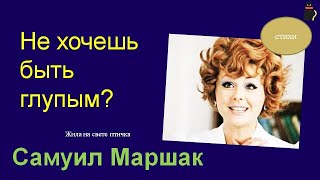 Сказка о глупости.  Маршак Самуил.