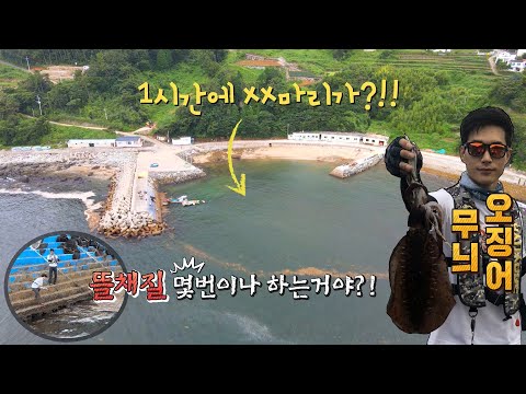 얕은 내항의 한자리에서 무늬 떼를 잡는 대박을?! 도대체 몇마리가 나오는거야?!
