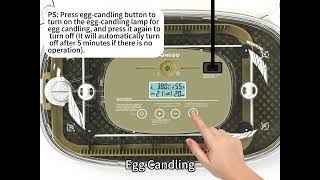 Digital 24 Eggs Incubator