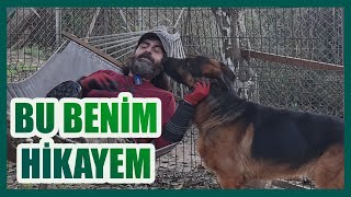 ALMAN KURTLARI İLE YAŞAMIM - ÇİFTLİKTEN HİÇ GÖRMEDİĞİNİZ BİR VİDEO OLACAK #boltonmansur by Ergün Turgan K9 3,478 views 4 months ago 14 minutes, 53 seconds