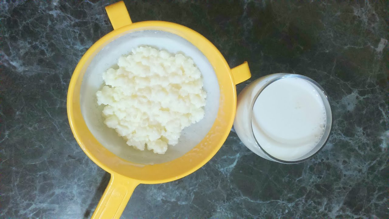 BULGAROS DE LECHE!!! TIPS Y CONSEJOS