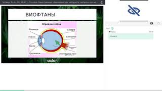 04 04 19, Татьяна Севостьянова «Виофтаны при катаракте, вопросы и ответы»