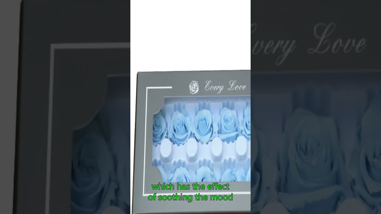 eternal roses new york,Eternal Roses China Wholesale,Stabilized Roses China Producer.