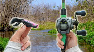 Fishing The Best TOPWATER Baits For AGGRESSIVE Fish -- Big Blowups