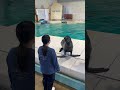 オタリア満喫（まんき）ツアー！