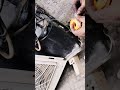 Split AC liquid line wall change ❄️