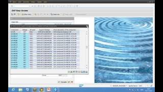 SAP ESS MSS EHP 7, Part 1 Demo, SAP ESS MSS Configuration step by step