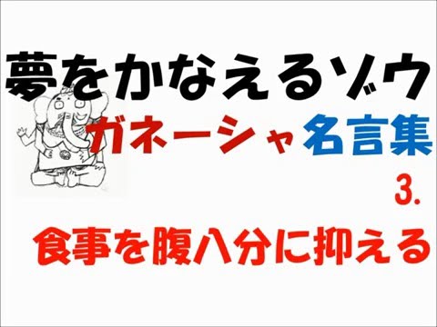 夢をかなえるゾウ の無料視聴と見逃した方へ再放送情報 Youtubeドラマ動画ゲット