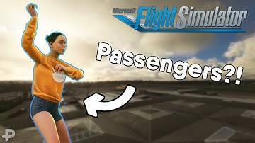 How crazy are these passengers in Microsoft Flight Simulator?!