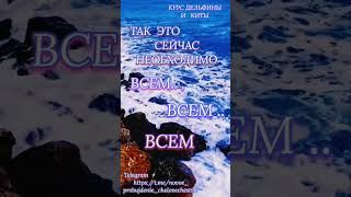 @novoe_probujdene_chelovchestva Приглашаем!ОсвободитьСилу ЗвукаМииира#Мииира#Мииира Для #Мииира