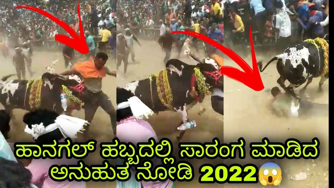 Hangal Hori habba Saranga Full havli 85😘