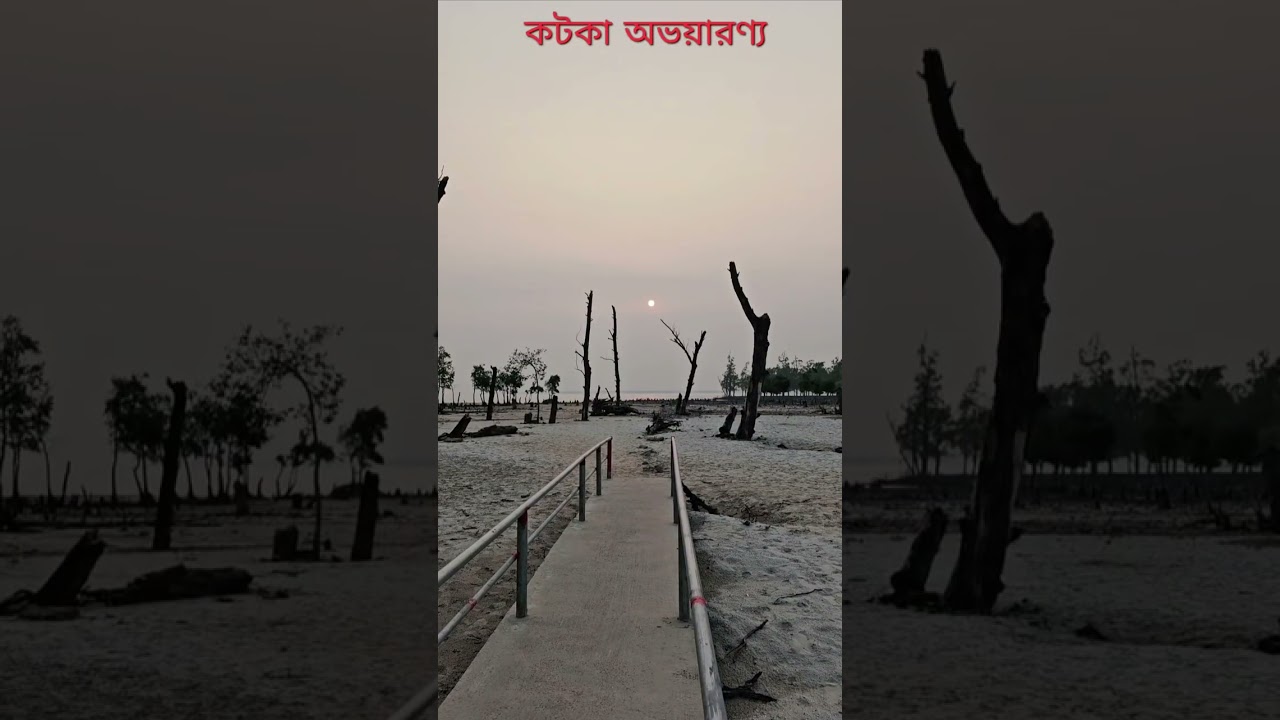 Andharmanik | Jamtola Sea Beach | Kotka Ovoyaronno | Kochikhali |Dimer Chor | Karamjal | Sundarban |