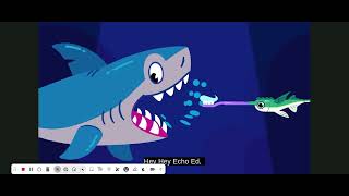 Echo Ed