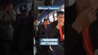 автобус москва ташкент санктпетербург шортс узбекистан нижнийновгород 2023shorts казань