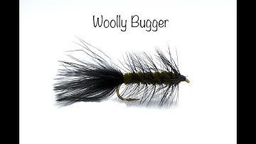 Woolly Bugger