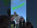 Blooper