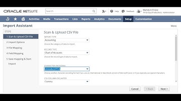 Oracle Netsuite update the chart of accounts with Arabic & English text fields using CSV import