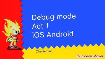 how to get debug mode in sonic 2 on iOS and Android
