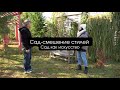 Сад-смешение стилей I Сад как искусство