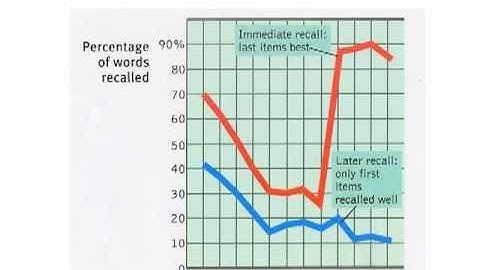 Serial position effect experiment - VCE Psychology