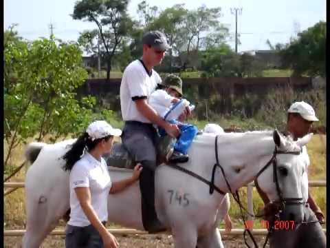 O Que E Equoterapia Youtube