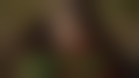 映画 『ボインのお宿 熟女大宴会！』 予告