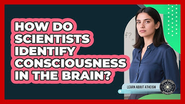 How Do Scientists Identify Consciousness In The Brain?