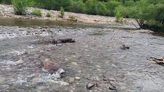 Bear River flows May 2, 2026 200 cfs 2 channel