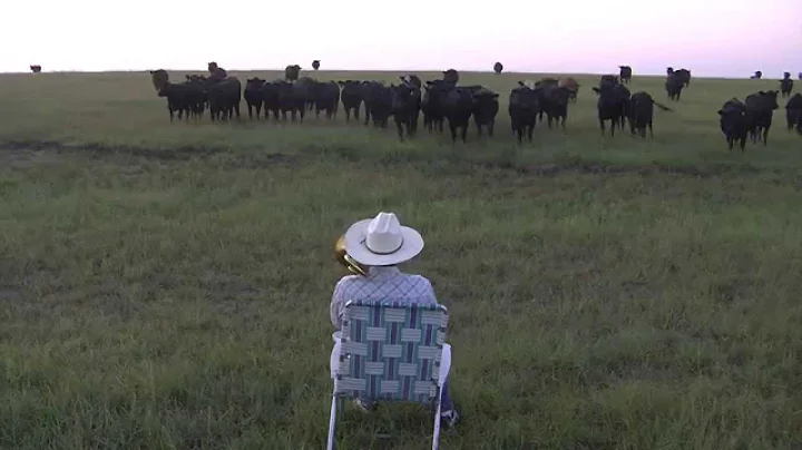 Serenading the cattle with my trombone (Lorde - Ro...