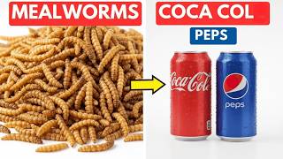 Inside The Bizarre Mealworm Soda Factory Process