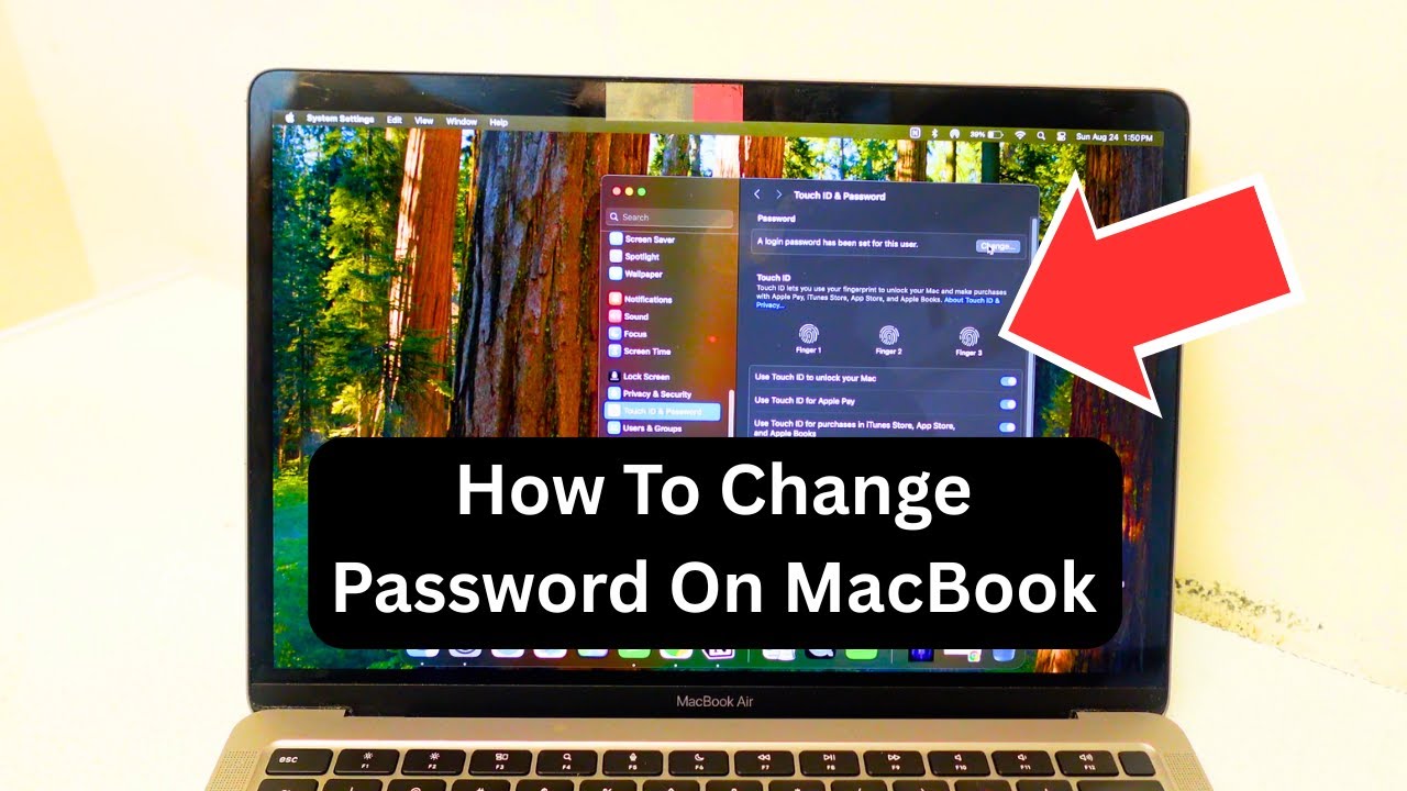 How To Change The Password On Your MacBook In 7 Steps! - YouTube