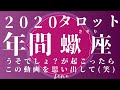 【♏さそり座♏】2020 年間リーディング🦂👑🦂ミラクル起きたらこの動画を見直してみてね(笑)【月星座・ASCも参考にしてね】