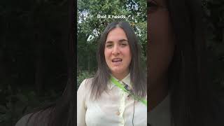 Famous CN Bitesize - isla Profile