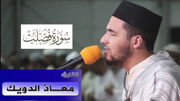 سورة فصلت  القرآن الكريم بصوت معاذ الدويك